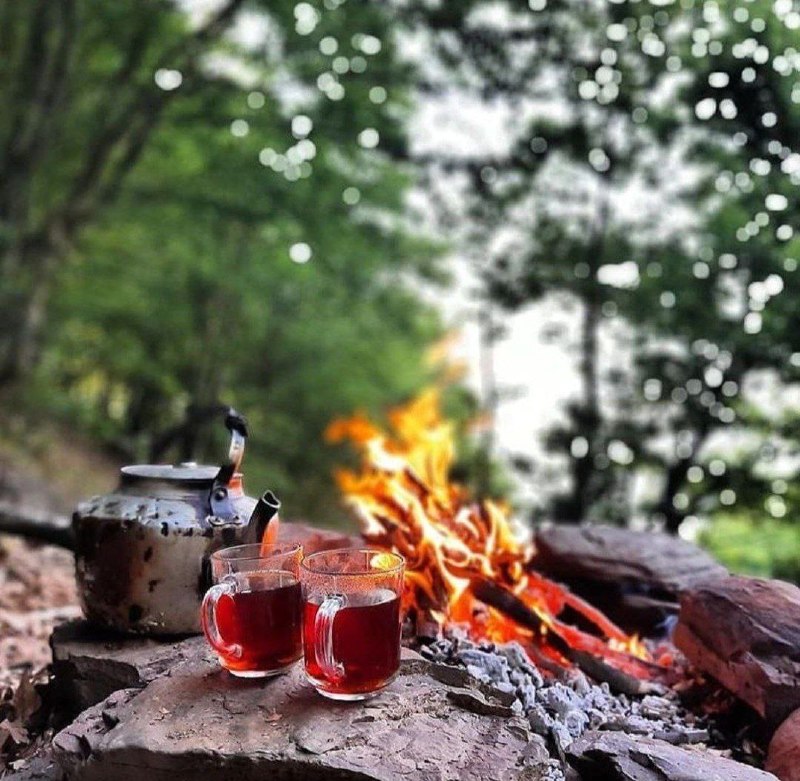 دكتر آذرتاش: 🌺🍃🌺🍃🌺🍃"ديدن ، شنيدن ، عبور كردن "هر چيزي لايق توجه تو نيست.روز بخیر ♥️✨@DrAzartash