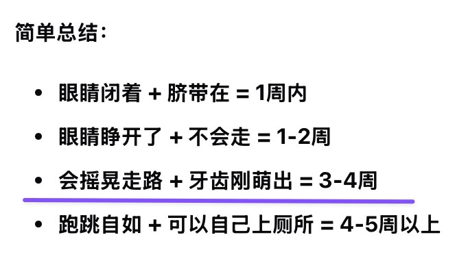捡到一只不到一个月的小猫没养过这么小的，有点慌求助 Gemini看来下周就轻松了