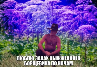 Борщевик планируют выжигать ультрафиолетовыми лампами по ночам, чтобы уменьшить число и площадь ядовитых зарослей. Искать их будут с помощью беспилотников.Биоритмы у растений и людей похожи — днём они растут, ночью копят силы и отдыхают. Изобретатели больш