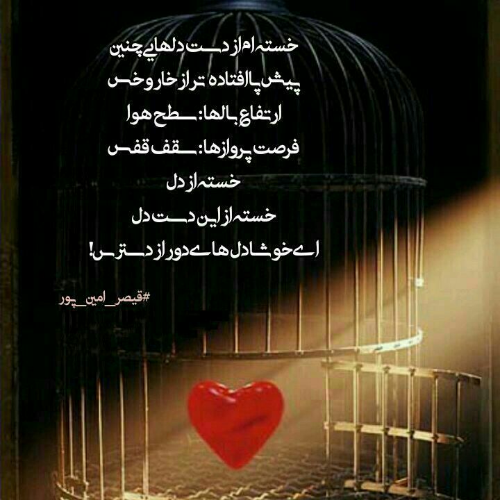 شعـر ڪــوتاه: ای خوشا دلهای دور از دسترس!#قیصر_امین_پور @shabhaye_niloofari 🍂👈join