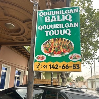 🐟BARZANGI N_1 BALIQLARI🐟