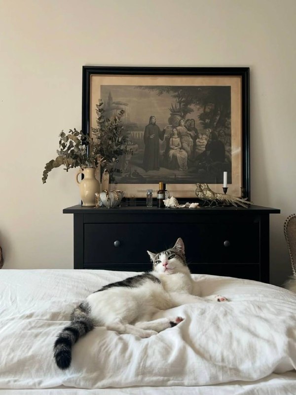 Питомцы в интерьере для вашего хорошего настроения Please open Telegram to view this post VIEW IN TELEGRAM - изображение 9 - telegram, view, питомцы