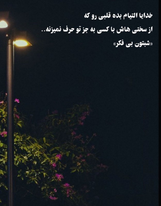 👑 شهر عکس 👑: 💜 @shahreeaks 💜
