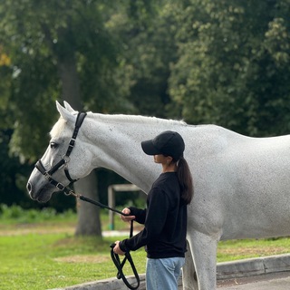 maya.dakota Chat Telegram Group Link