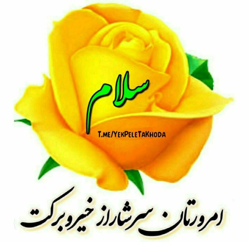 ۞یک پله تا ملاقات خدا۞: 🌹 @YekPeleTaKhodaاول هفته تون عالی 🌺خـدایـااین هفته را برای من ودوستانم زیبا بسازسبد تقدیر ۷ روز ما راپر کن از شادی و آر