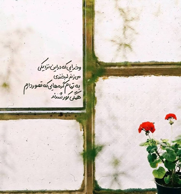 شبکه باران: وخدایی که در این نزدیکیمی زند لبخندیبه تمام گره هایی که تصور دارمهمگی کور شدند💚✨ #مناجات | #خدایا_شکرت@tv_baran