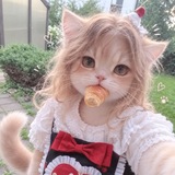 ˗ˋˏ ᥫᩣансель || 安塞尔ᥫᩣ ˎˊ˗