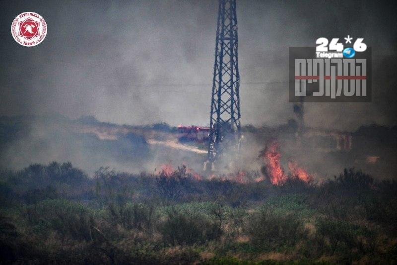שליטה הושגה בשרפת חורש באזור התעשייה הצפוני באשדוד