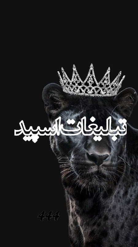 گروه دخترونه دوستیابی مشهد: ❶﹚ نام : شاخه نبات❤🍁🌱❷﹚ نو؏ تبلیغات : #telegram❸﹚ توضیحات :✨ حضور شما افتخار ماست✨️🌱رنج سنی گپ بالای 25 سال🌱🌱| ویسڪال ²⁴