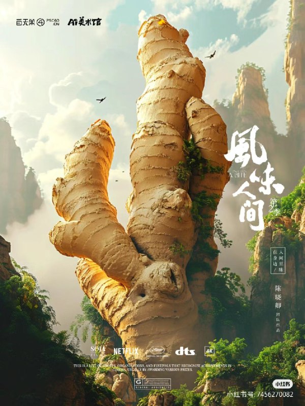 一组效果不错的 MJ 提示词一组效果不错的 MJ 提示词