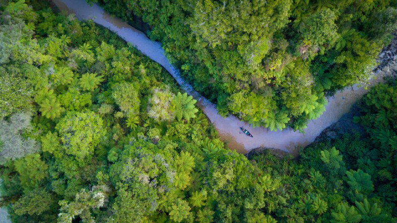 Flow with itWhanganui National Park, Retaruke, New Zealand (© Matthew Micah Wright/Getty Images)