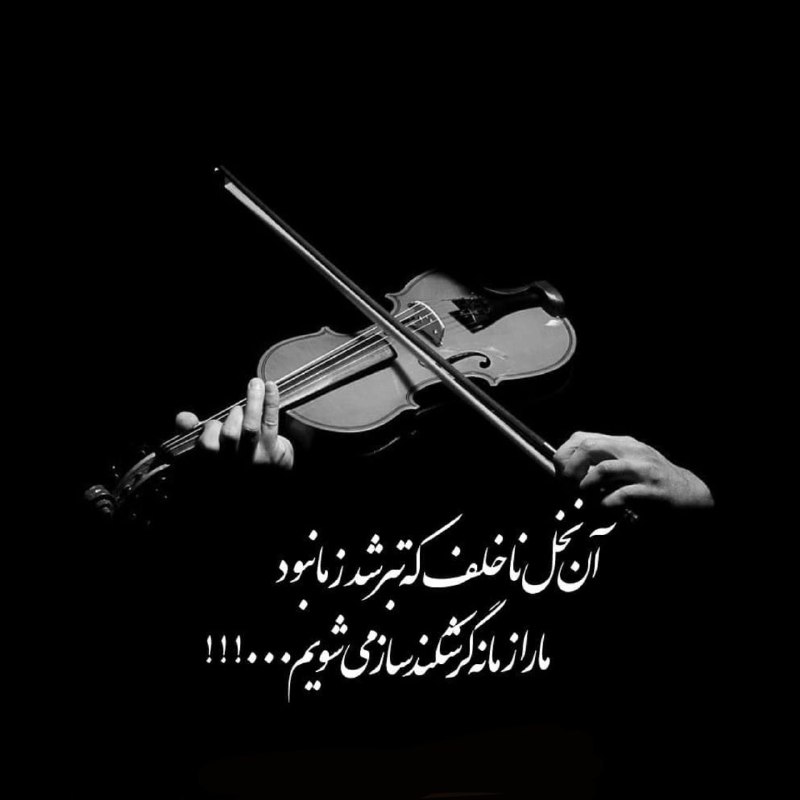 زخــم دل❤️🩹: از نخل برهنه سایبانے نطلباز مردم این زمانه یارے نطلب،عزت به قناعت است، خارے به طمع، با عزت خود بساز و خارے نطلب….