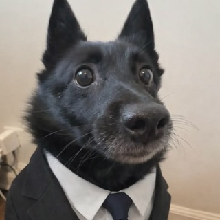 Telegram profile photo for montana