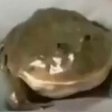 Магазин Вальрен Иона