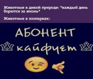 Биологи считают, что животным в зоопарках слишком хорошо: https://lentach.media/kk3K1