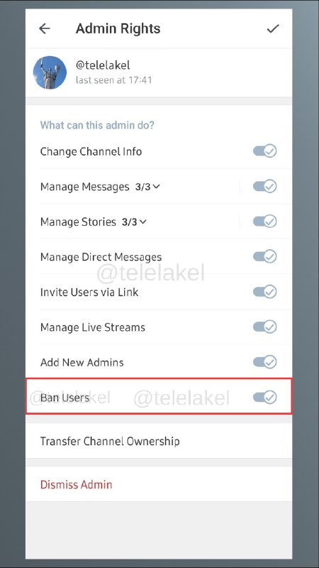 In channel admin rights, there’s a new option 