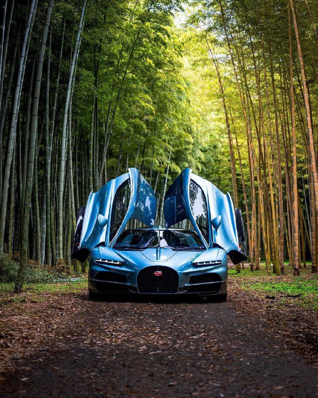 Bugatti Tourbillon 9