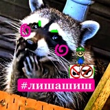 лишашиш 🩵