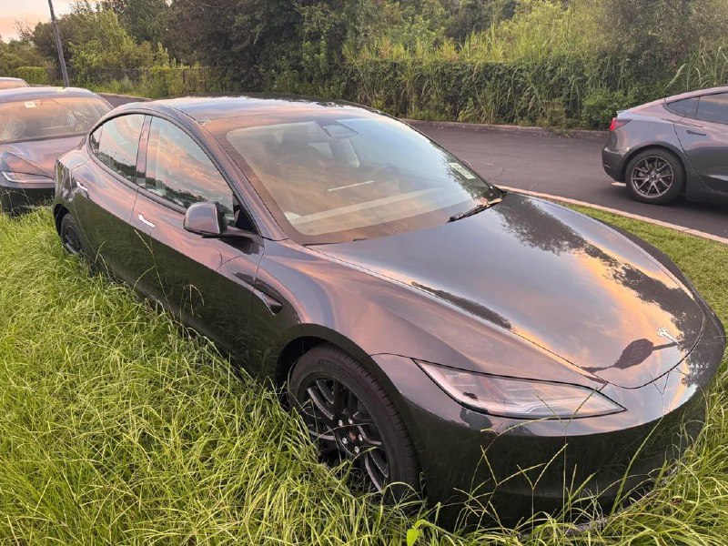Дилеры Tesla хранят автомобили прямо в поле 3