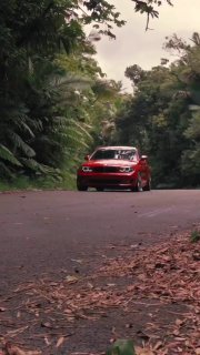 https://t.me/bmw_mpower_club