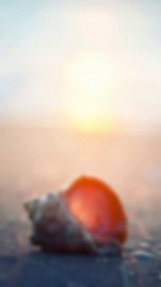 Your Good Qualities May Not Be Appreciated by Everyone | Sheikh Daghash Al-Ajmi hafidhahullah
