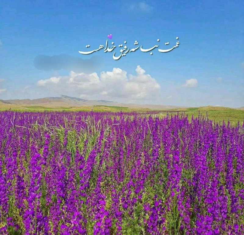 ازندریان خبر: آخرین سه شنبه🍃مرداد ماهتون دلچسب🌸نارنین خدای ما.....تنها "کوچه ای" که "بن بست" نيستکوچه "ياد توست" ...مهربان خدای ما...ا