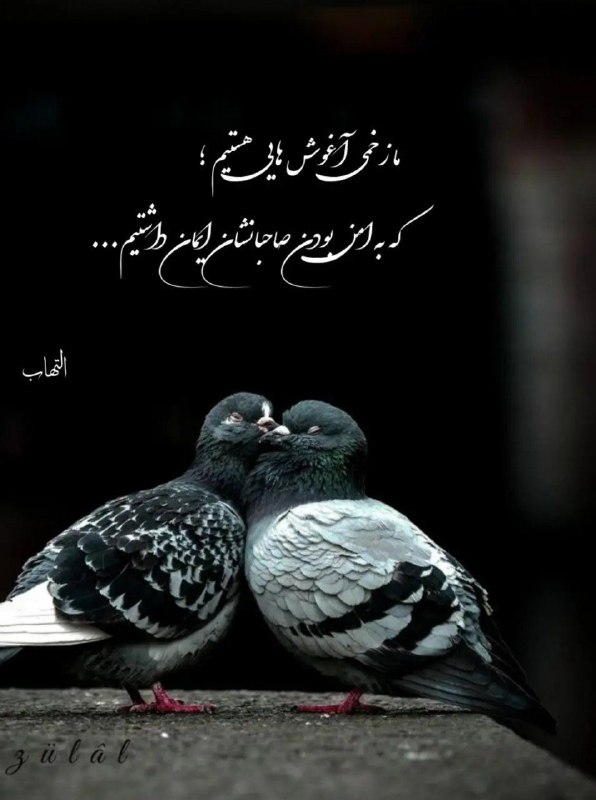 🎆🎀 فتونایس 🎀🎆: ما زخمی آغوش هایی هستیم که....#عکس_نوشته 🥀🍃@photoniceee✿࿐༅࿇༅࿐✿