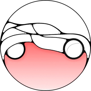 Telegram profile photo for Spec Auto Trade DV - Авто из Китая, Японии и Кореи