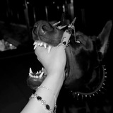 Dark moon.