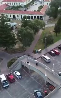 Появилось видео со стрелками на пляже в Сиднее.