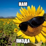 "Полянка Подсолнуха"