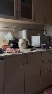 Триллер о курице