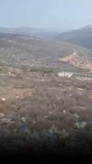 מתנחלים תוקפים חקלאים ומונעים מהם למסוק זיתים בין אימאטין לדיר איסטיה