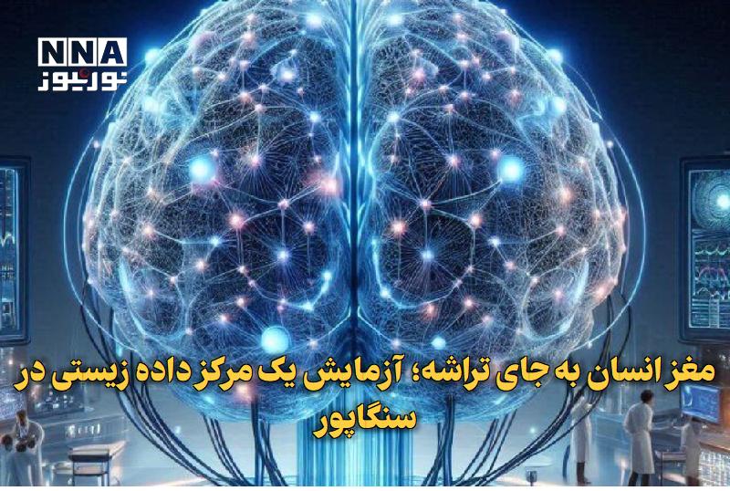 نورنیوز: ✅ مغز انسان به‌جای تراشه؛ آزمایش یک مرکز داده زیستی در سنگاپور🔹 پژوهشگران سنگاپور با راه‌اندازی نمونه اولیه یک مرکز داده