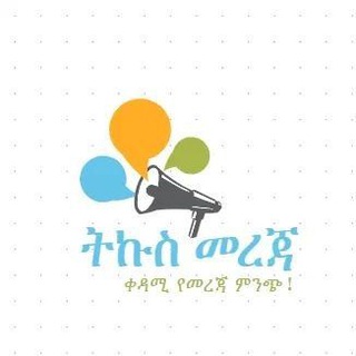 Scholarships for BSc,Masters and PhD. Telegram Group Link