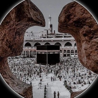 ﴿فَاسْتَجَابَ لَهُمْ رَبُّهُمْ﴾