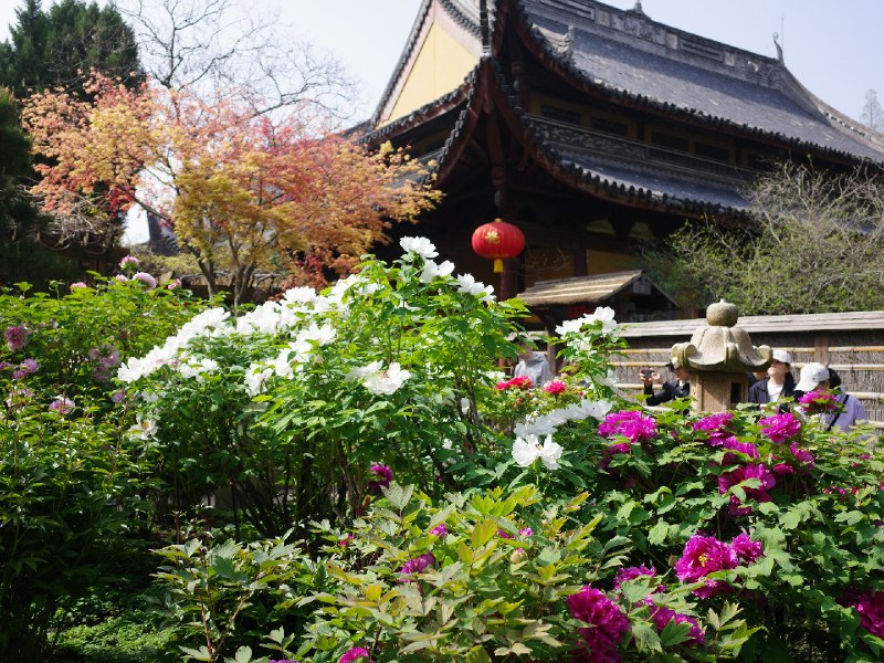 以前不知道上海有座漂亮的寺庙龙华寺以前不知道上海有座漂亮的寺庙龙华寺