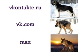 VK через российский суд потребовала от Apple вернуть свои приложения в App Store: https://lentach.media/cRtVT