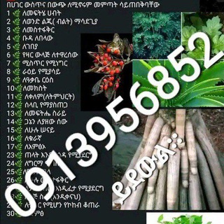 Telegram profile photo for መርጌታ መንግስቱ የባህል መድሃኒት ቀማሚ እና