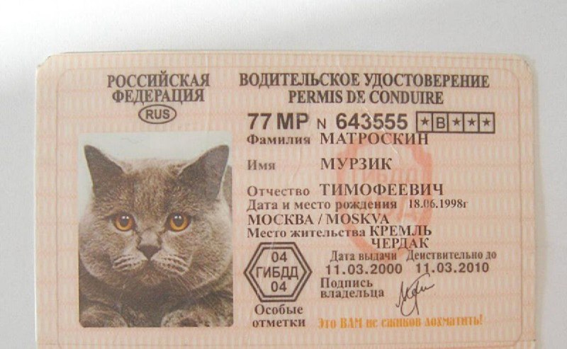 По водительским правам можно будет заселяться в гостиницы?Министр экономики Макс