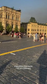 Суд в Москве арестовал мужчину, который выгуливал козу на Красной площади и ругался матом. Магомеда Магомедова признали виновным в мелком хулиганстве и назначили ему пять суток административного ареста.