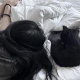 пантифик