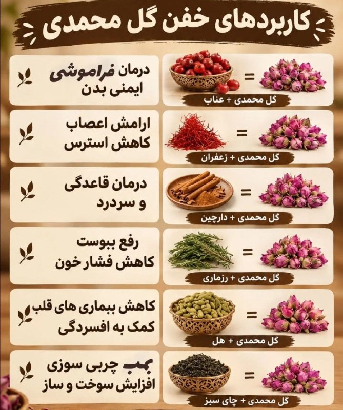شبکه خبری خوزستان: کاربردهای خفن گل‌محمدی🌸 #اطلاع_رسانی_کنید 📣کانال اخبار موثق و فوری جنگ را به دوستانتان معرفی کنید👇https://t.me/khozkhaba