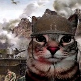 Шітпост Студента