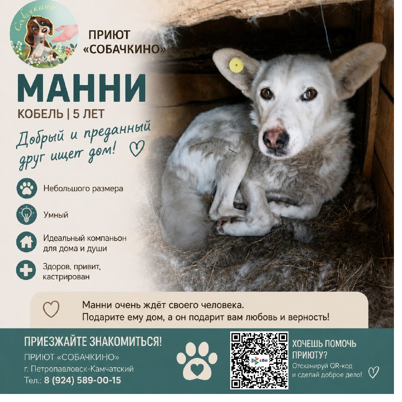 @help_animal41 posted a photo