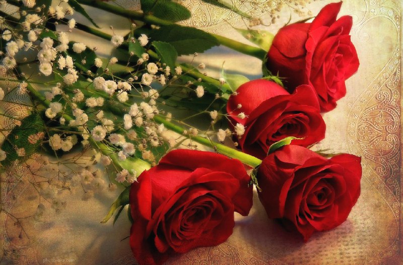 ♥️س̾ل̾ط̾ا̾ن̾ ق̾ل̾ب̾م̾ م̾ا̾د̾ر̾م̾♥️: کسی که بهت تلخی واقعیتو میگه از کسی کهبهت دروغ دوست داشتنی میگه خیلی بهترهکسی که خیلی مستقیم بهت میگه ازت متنفرهاز کسی ک
