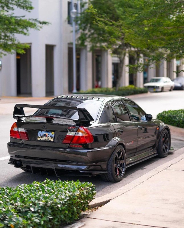 Carbon Evolution VI 2