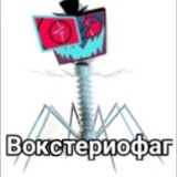 Инфо очка вокса