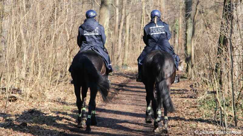 Немецкая полиция вновь ловит россиян, незаконно собирающих черемшу в огромных количествахДикий чеснок по-русски называют черемшой, а по-немецки - "медвежьим луком" (Bärlauch). В Германии это съедобное растение считается, с одной стороны, деликатесом, с дру