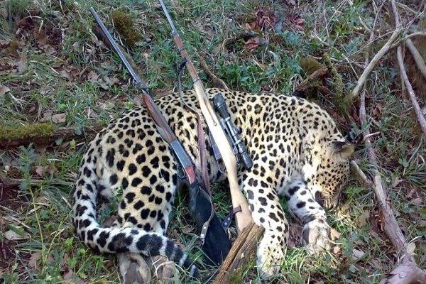 خبرگزاری مهر: دستگیری شکارچیان غیرمجاز در شاهرود؛ تصاویر شکار پلنگ ماده را فاش کردمدیرکل محیط زیست سمنان در گفتگو با مهر:🔺پس از دستگیر